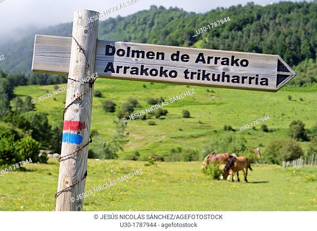 Arrako dolmen sign, in Rincón de Belagua Isaba Roncal Valley Navarra Spain Europe