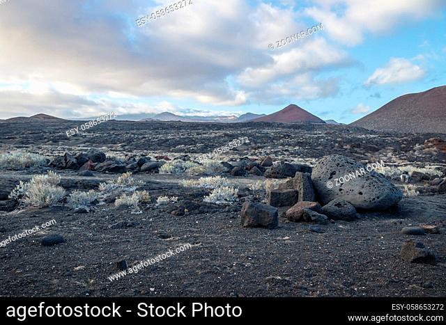 Lava fields with large black rocks, green bushes and lava streams, La Restinga, El Hierro, Canary Islands, Spain
