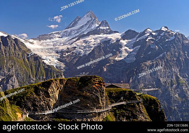 First Cliff Walk by Tissot mit Aussichtsplattform im Wandergebiet First, Blick zum Gipfel Schreckhorn, Grindelwald, Berner Oberland