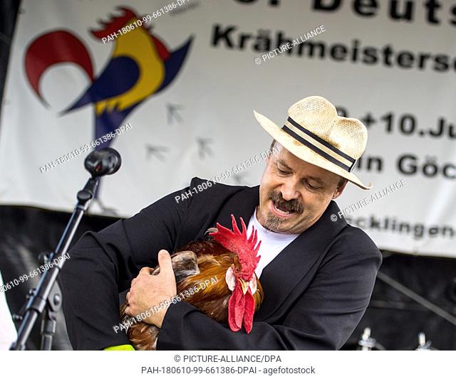 10 June 2018, Germany, Goecklingen: Michael Huber competes in the discipline 'Crowing and Strutting' with his rooster. At the 5th official Rooster Crowing...