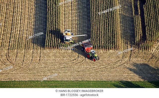 Aerial view, B63, Ossenbeck, corn harvest, Claas, tractor, combine harvester, north of Kreisstrasse road, Drensteinfurt, Ruhr Area, North Rhine-Westphalia