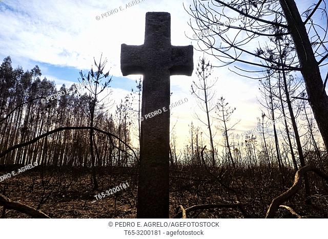 Stone cross on a hill burned by fire. Palas de Rei, Lugo province, Galicia, Spain. Date: 2017-10-31