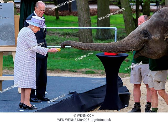 Queen Elizabeth and Prince Philip visit the new elephant centre at ZSL Whipsnade Zoo Featuring: Queen Elizabeth II, Prince Philip Duke of Edinburgh Where:...