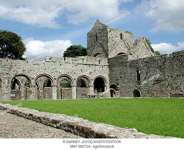 Boyle Abbey, Roscommon, Ireland