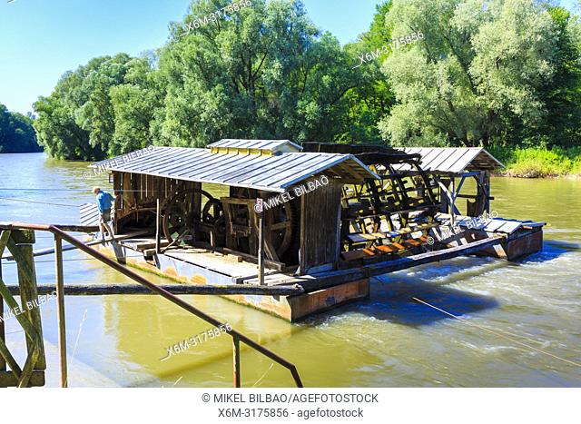 Floating mills on the Mura river. Babic mill at Verzej. Styria region. Slovenia, Europe