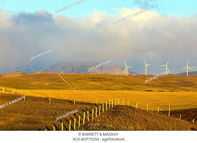 Wind turbines and grainfield at sunrise, Pincher Creek, Alberta, Canada
