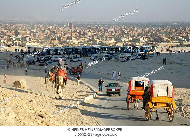 Tourist buses in a parking lot near the pyramids, Giza, Egypt, North Africa, Africa