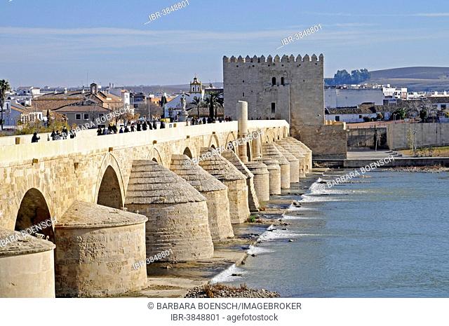 Puente Romano, Roman bridge over the Guadalquivir River, Torre La Calahorra, Museum of Three Cultures, at the back, Córdoba, Andalusia, Spain