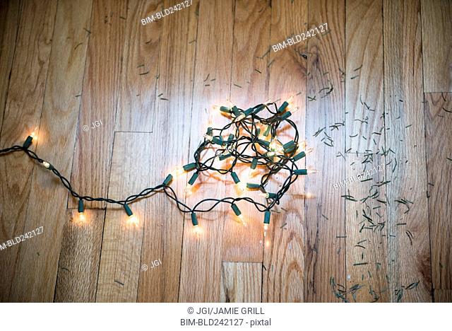 String lights on floor with Christmas tree pine needles