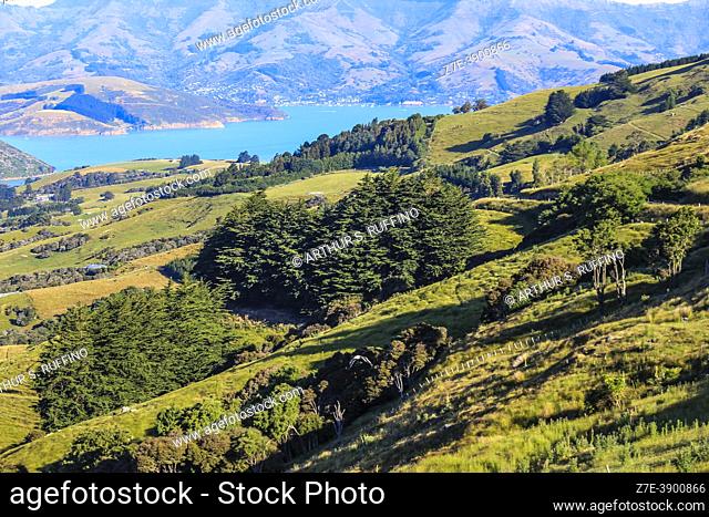 Landscape of Banks Peninsula. Canterbury Region. South Island, New Zealand