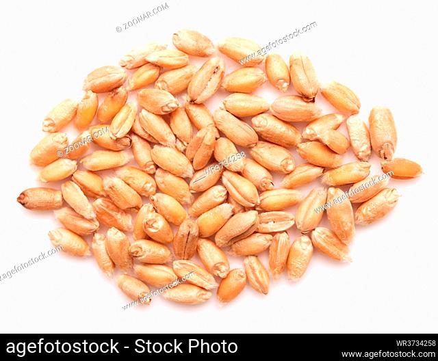 Pile of wheat isolated on white background