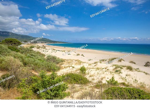 beautiful landscape of wild natural Beach Bolonia in Tarifa, Cadiz, Andalusia, Spain, from the forest