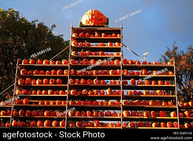 Hundreds of carved pumpkins line a tower of shelves during an autumn festival in Keene New Hampshire