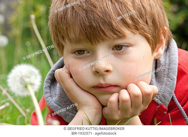 Little boy looking at a blowball