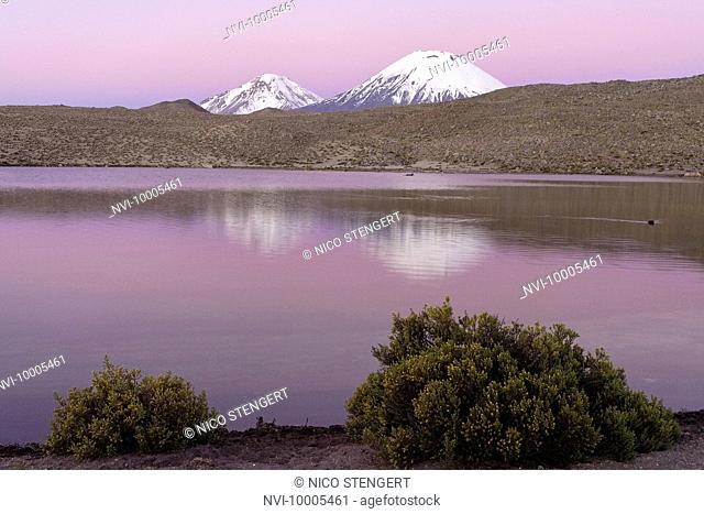 Twin volcanoes Parinacota and Pomerape, Lauca National Park, Chile, South America