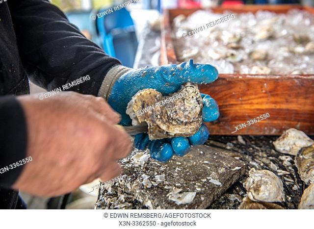 US National Oyster Festival in St. Mary's County MD