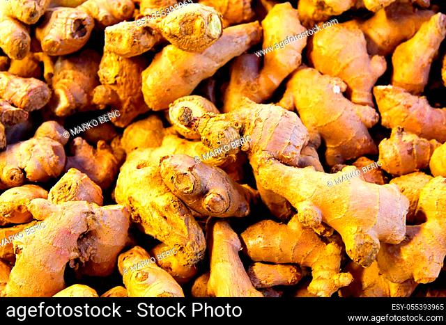 Big bunch of organic ginger edible roots