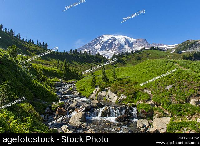 View from the Skyline Trail at Paradise of Edith Creek with Mount Rainier in the background in Mt. Rainier National Park in Washington State, USA