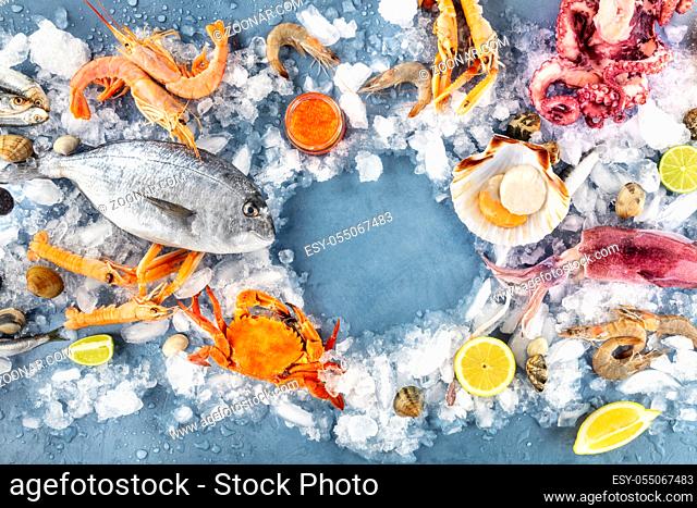 Fish and seafood background with a frame for copy space, a flat lay top shot, a design template. Sea bream, shrimps and prawns, crab, squid, octopus on ice
