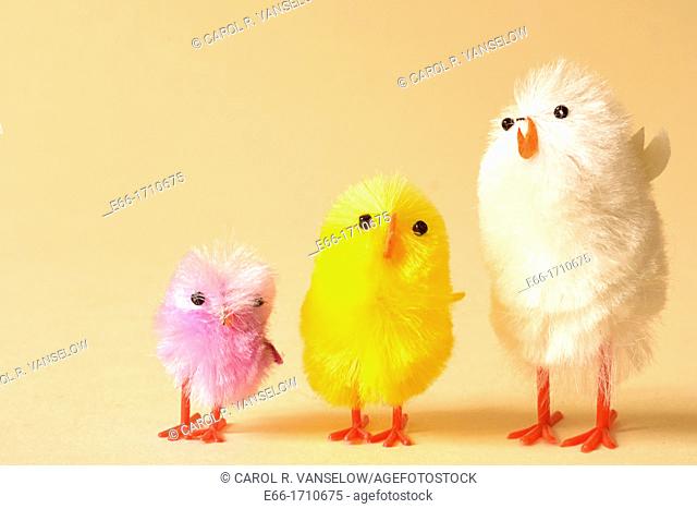 small chicks used as Easter basket decoration