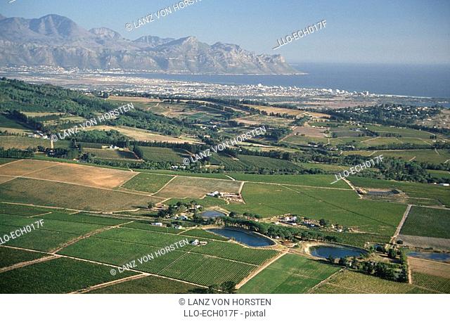 Aerial View of Coastal Vineyards  Helderberg Area, False Bay, Western Cape Province, South Africa