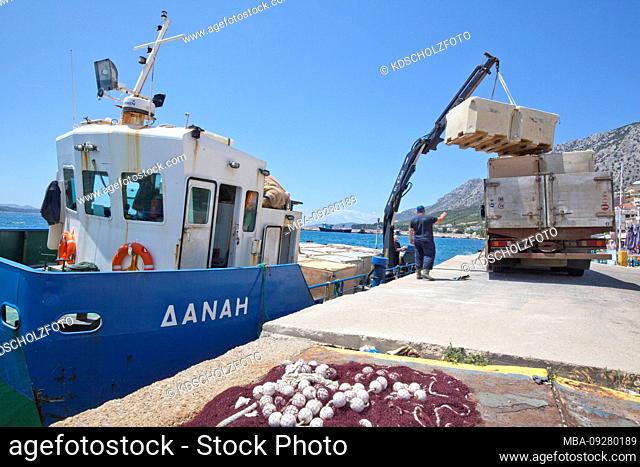Loading of fresh fish from aquaculture in Astakos, Ätholien-Acarnania, West Greece, Greece