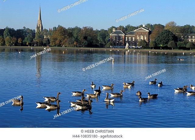 UK, London, Round Pond, Kensington Palace, Kensington Gardens, Great Britain, Europe, England, water, lake, ducks, gee