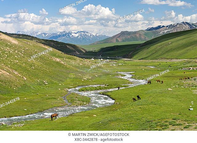 Horses on summer pasture. The Suusamyr plain, a high valley in Tien Shan Mountains. Asia, central Asia, Kyrgyzstan