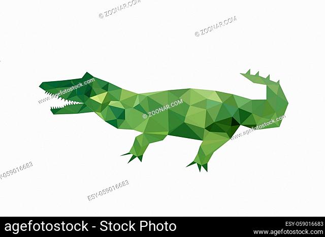 Illustration of modern flat design with origami crocodile, isolated on white background