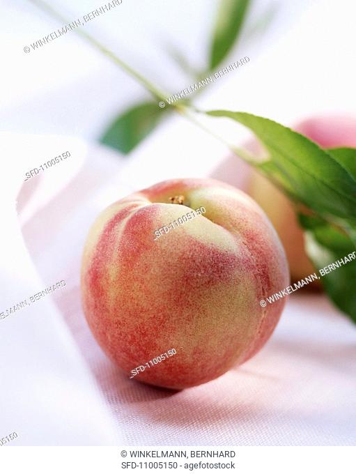 Organic Saucer Peach