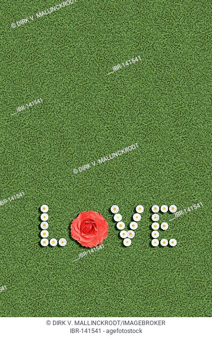 Love written with flowers