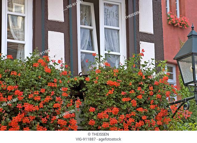 detail of facade of an old half-timbered house with flowers in front of windows in old town of Miltenberg, Bavaria, Germany. - 22/09/2006