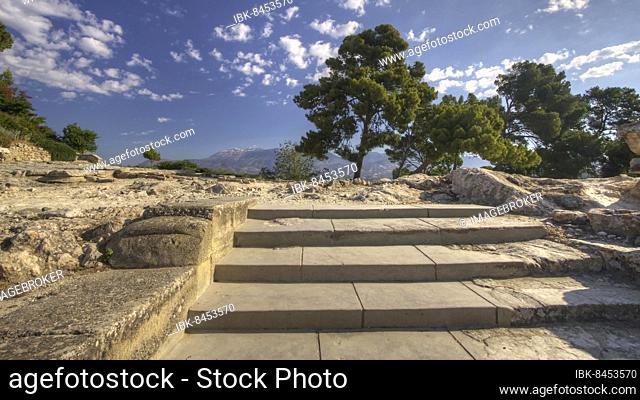 Morning light, blue sky, white clouds, stairs from below, trees, Ida massif, Minoan palace of Festos, Messara plain, central Crete, island of Crete, Greece