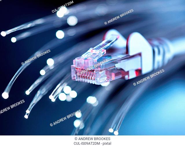 Internet network connector with fibre optics, close-up