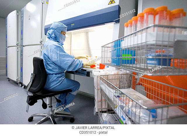 Clean room, preparing DMEM (DulbecoÂ's Modified EagleÂ's Medium) in laminar flow cabinet, biopharmaceutical lab, development and production of innovative drugs...