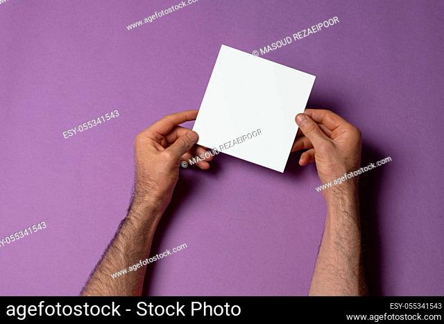 Male hands holding a square size tri-fold catalog with blank cover on purple background, mock-up series template ready for your-selection path included