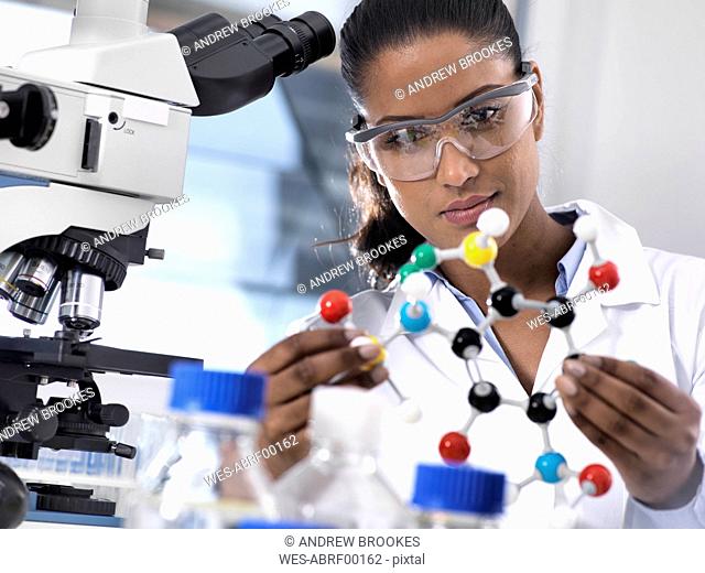 Biotechnology Research, female scientist examining a chemical formula using a ball and stick molecular model in the laboratory