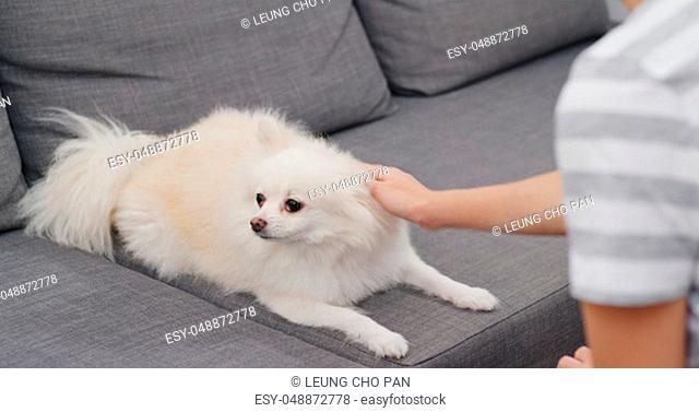 Woman touch on her dog at home
