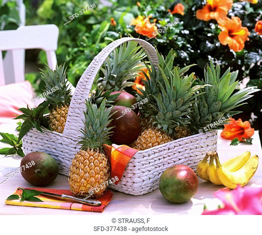 Basket of pineapples & mangos, flowering hibiscus in background