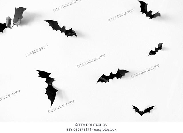 halloween, decoration and scary concept - black bats flying over white background