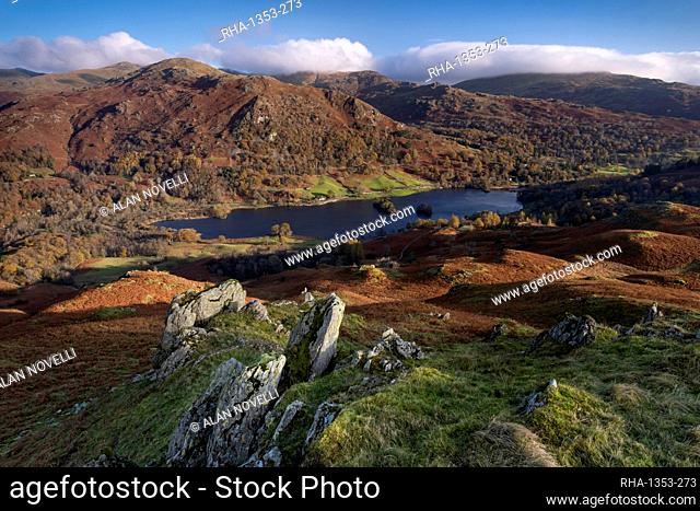 Rydal Water backed by Nab Scar and Heron Pike from Loughrigg Fell in autumn, Lake District National Park, UNESCO World Heritage Site, Cumbria, England