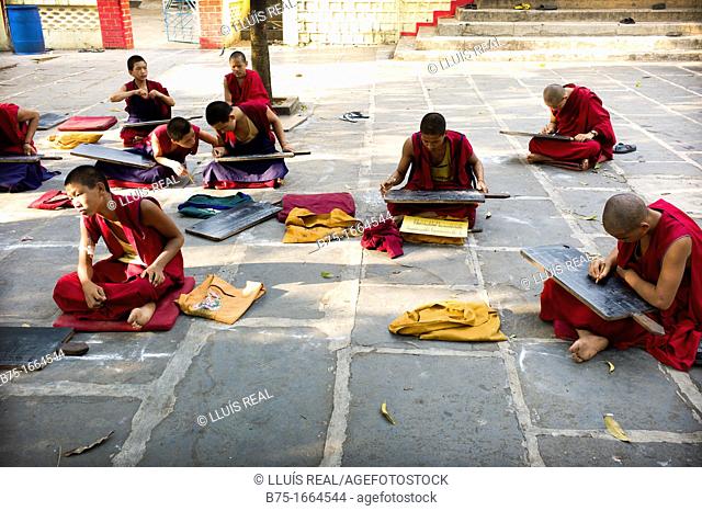 estudiantes en el patio del Monasterio Tibetano Budista de Gaden Shartse en Mundgog, India  students in the courtyard of the Monastery of Gaden Shartse Tibetan...