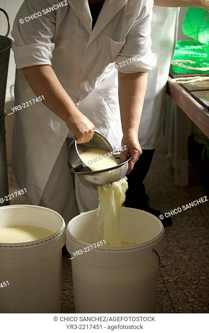 A woman works making Pecorino cheese in Quesos Oliva artisanal cheese making workshop in Villaluenga del Rosario, Sierra de Grazalema Natural Park