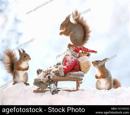 red squirrels are standing with an sledge with santa