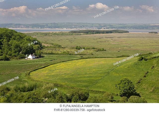 View of pasture, saltmarsh and coastline, Llanmadoc, Llanridian Sands, Burry Port, Gower Peninsula, Glamorgan, Wales, june