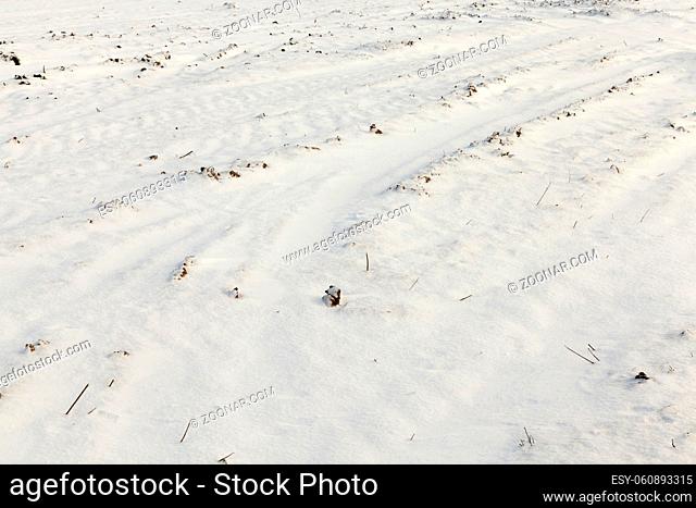 traces of the machine on the soil of the field covered with white snow, closeup