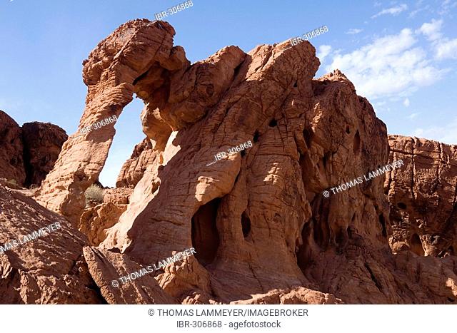 Elephant Rock, Valley Of Fire State Park, Nevada, USA