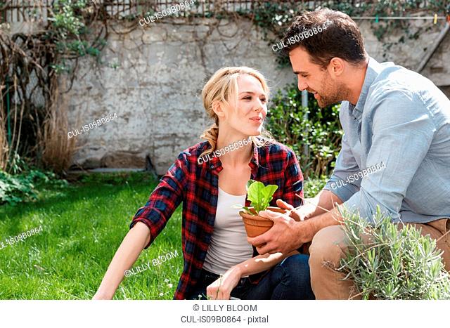 Couple in garden tending to plants
