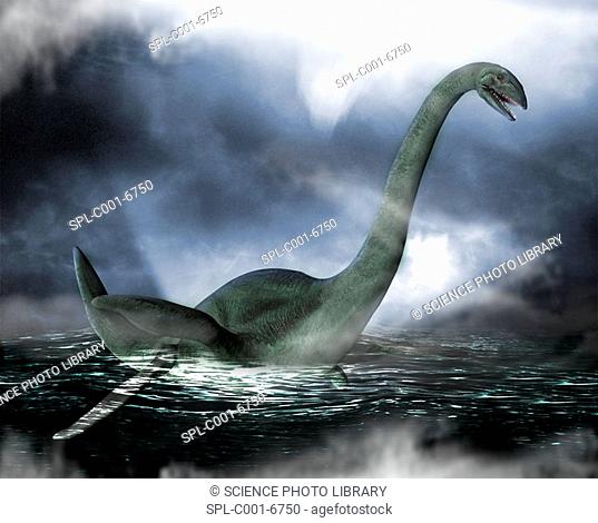 Loch Ness monster. Computer artwork of the Loch Ness Monster swimming on the surface of Loch Ness, Scotland. Sightings of the monster have occurred at least...