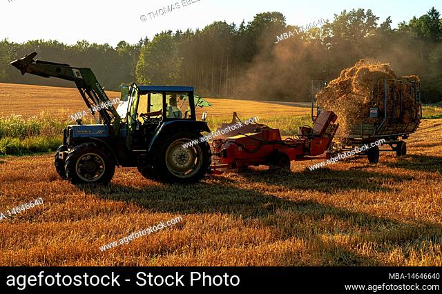 Hay harvest, Lehmrade, Duchy of Lauenburg County, Schleswig-Holstein